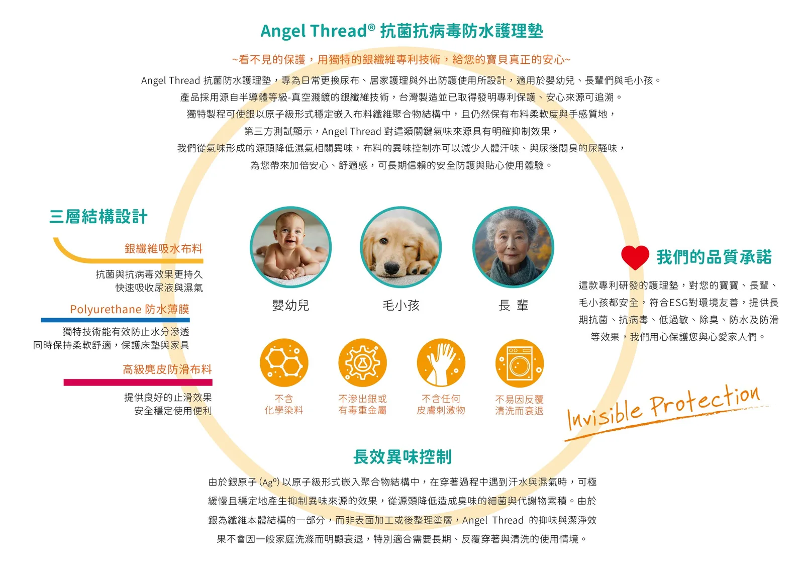 Little Angel 幼兒午睡組